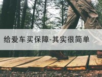 汤阴给爱车买保障-其实很简单