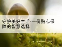 西乡塘守护美好生活-一份贴心保障的智慧选择-北部湾保险