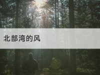 西乡塘北部湾的风-北部湾保险