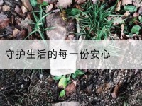 广西守护生活的每一份安心-北部湾保险