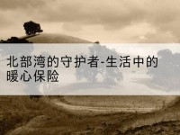 南宁北部湾的守护者-生活中的暖心保险-北部湾保险