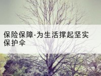 南宁保险保障-为生活撑起坚实保护伞-北部湾保险
