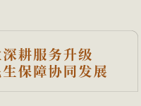 西乡塘保险业深耕服务升级 科技与民生保障协同发展